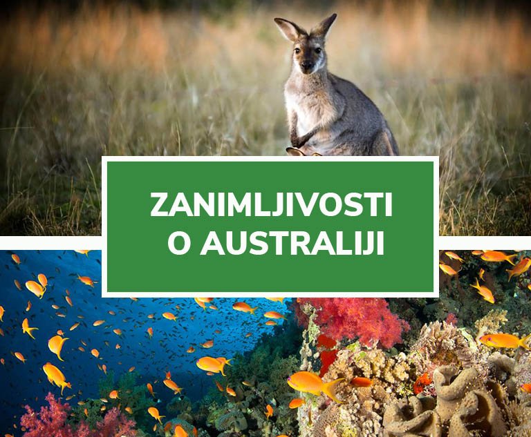 zanimljivosti o Australiji