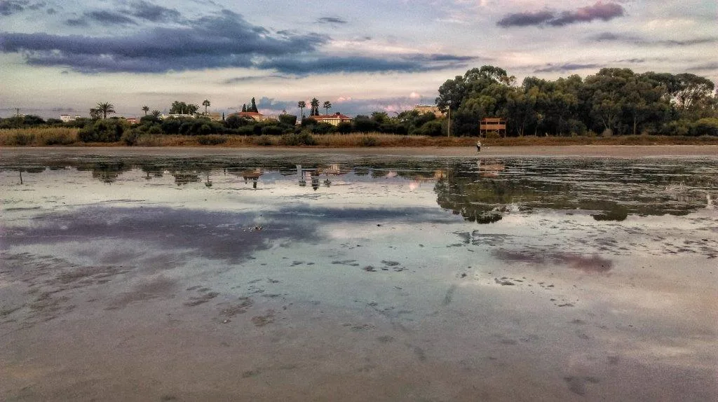 Flamingosi u Larnaki na Kipru