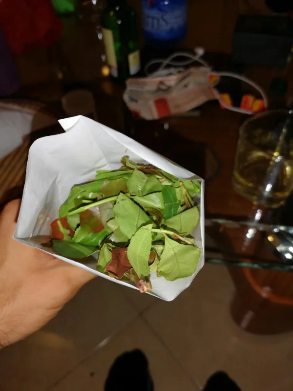 Khat Kenija