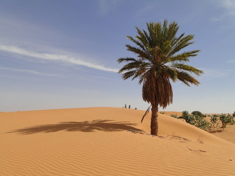 Mauritanija